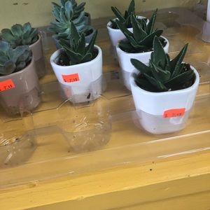 Meet your Posher, Brenna